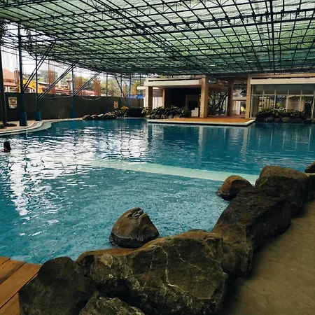 Pet Friendly Staycation At Pasig City